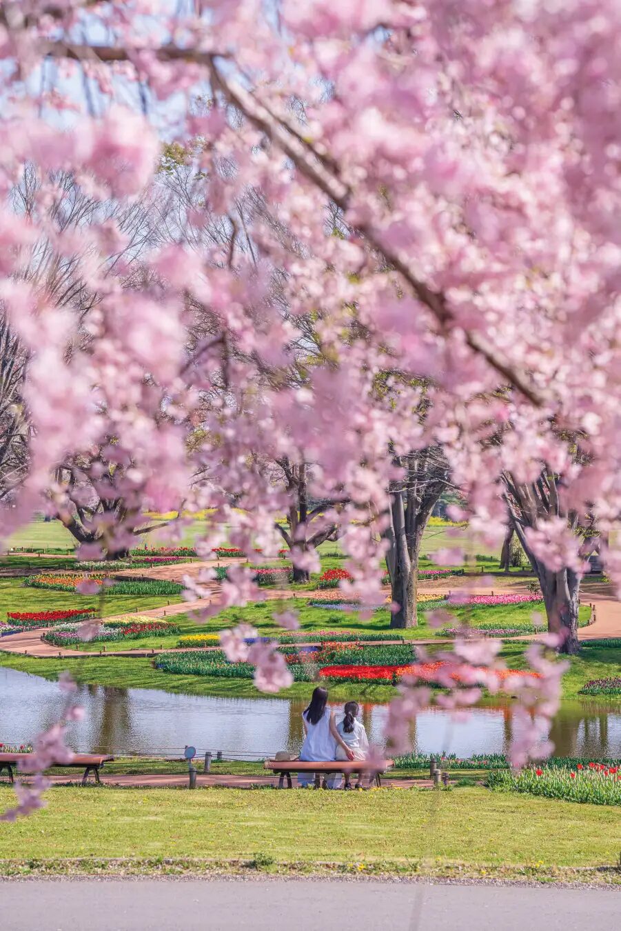 フラワーフェスティバル2026｜3月20日（金・祝）～5月24日（日）国営昭和記念公園で春の花々とイベントを楽しむ季節フェス